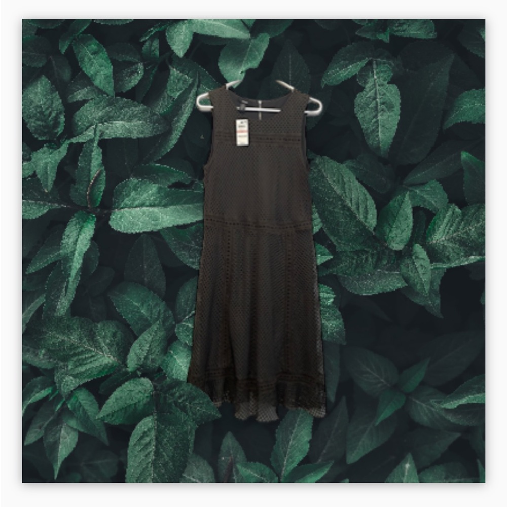 BNWT Alfani dress 12 $109